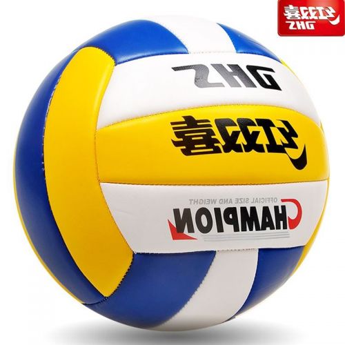 Ballon de volley - Ref 2016414