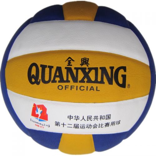 Ballon de volley - Ref 2016507