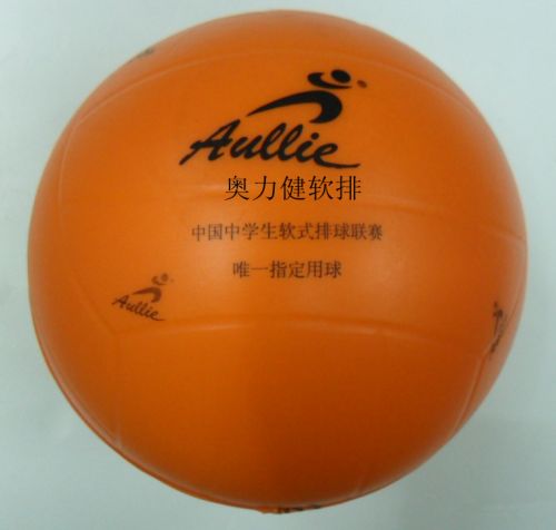 Ballon de volley - Ref 2016520