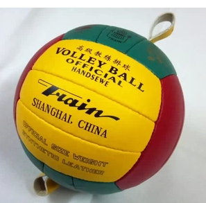 Ballon de volley - Ref 2016530