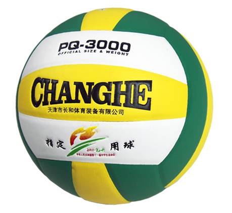 Ballon de volley - Ref 2016541