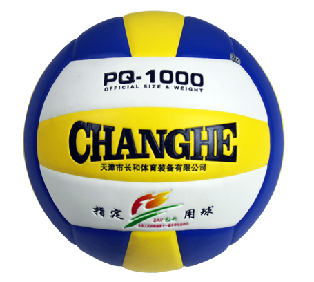 Ballon de volley - Ref 2016542