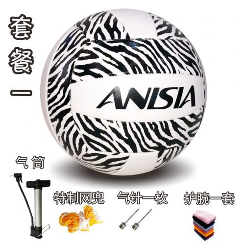 Ballon de volley ANISIA - Ref 2016591