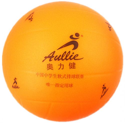 Ballon de volley - Ref 2016604
