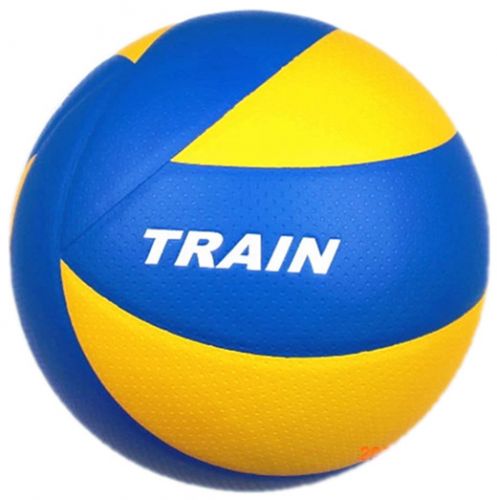 Ballon de volley TRAIN - Ref 2016609