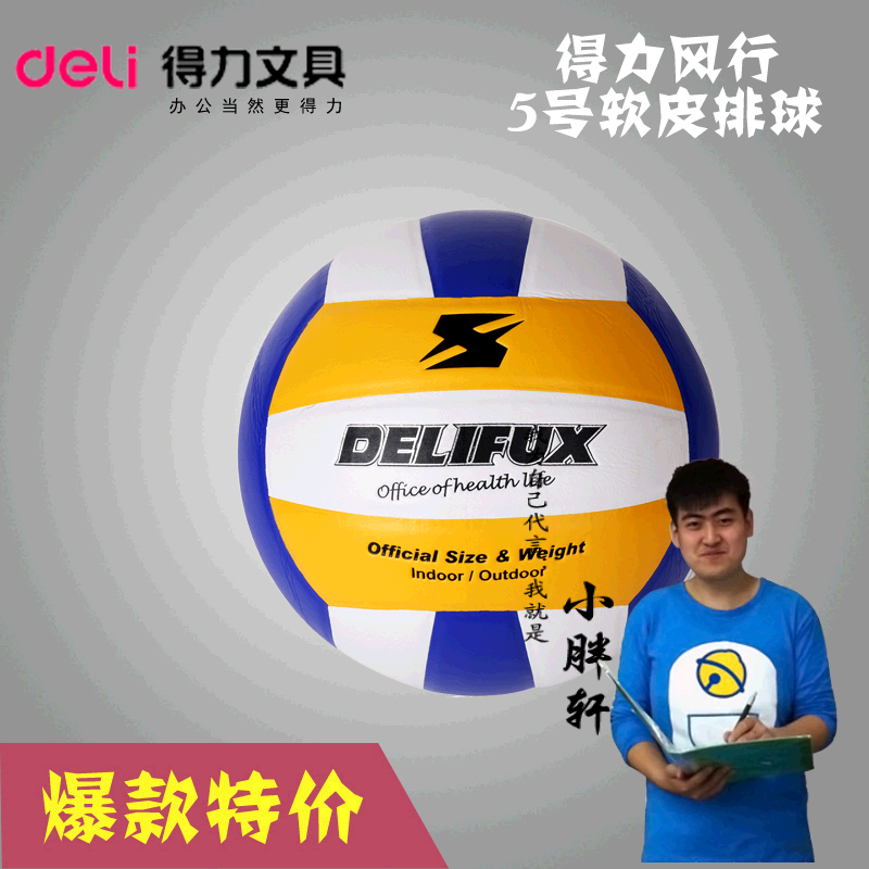 Ballon de volley - Ref 2016610