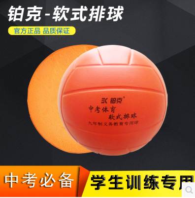 Ballon de volley - Ref 2016629