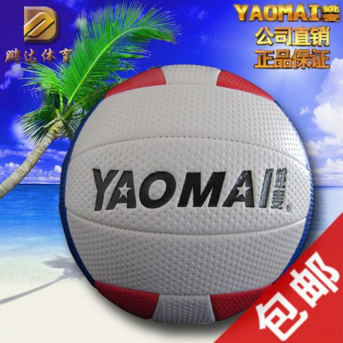 Ballon de volley - Ref 2016649