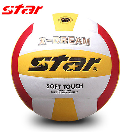 Ballon de volley - Ref 2016652