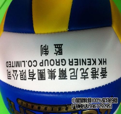 Ballon de volley - Ref 2016661