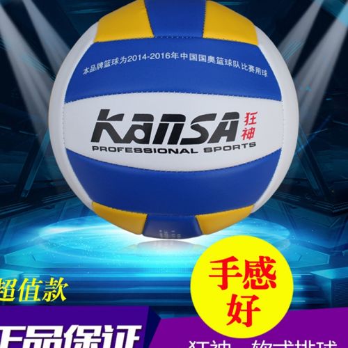 Ballon de volley - Ref 2016669