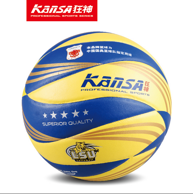 Ballon de volley - Ref 2016710