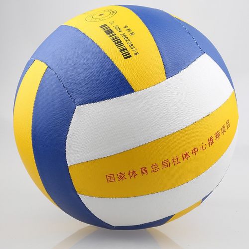 Ballon de volley - Ref 2016712