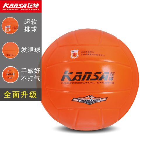 Ballon de volley 2016745