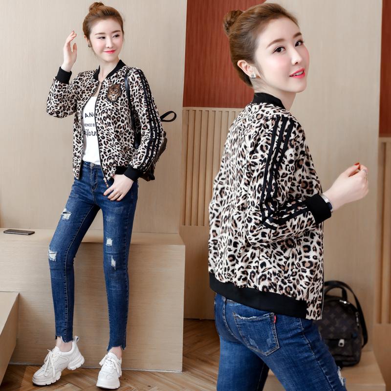 Blouson femme en Fibre de polyester - Ref 3321049
