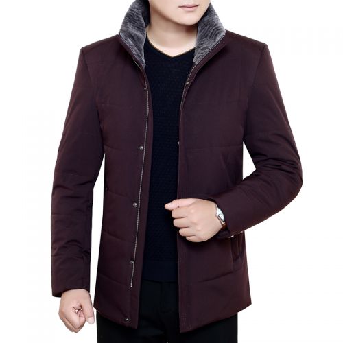 Blouson hiver pour Homme - Ref 3112087