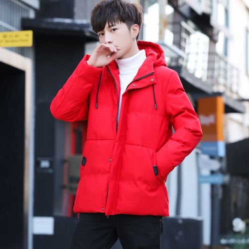 Blouson hiver pour Homme - Ref 3114199