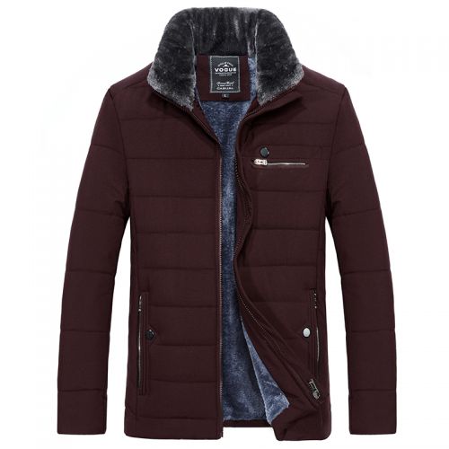 Blouson hiver pour Homme - Ref 3114588