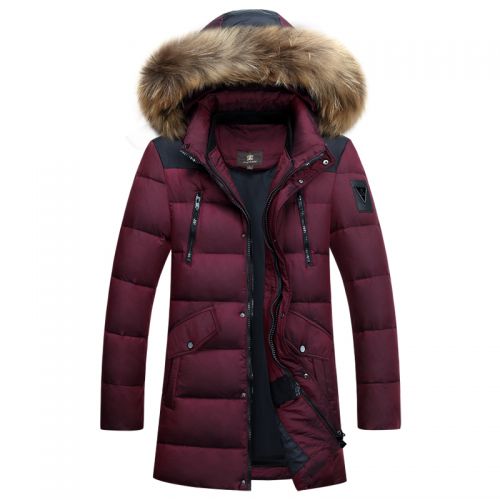 Blouson homme - Ref 3119852