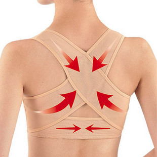 Body - Ref 667385