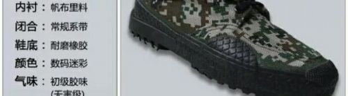 Bottes militaires - Ref 1399864