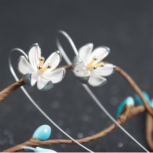Boucles d'oreilles pendantes Femme Argentée - Ref 3098475