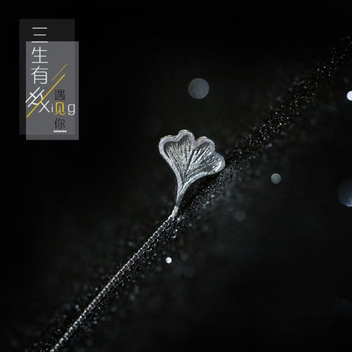 Boucles d'oreilles pendantes Femme Argentée - Ref 3098767