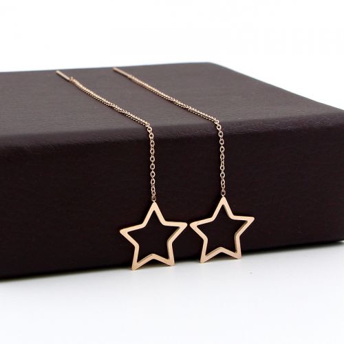 Boucles d'oreilles pendantes Femme en Acier au titane - Ref 3099383