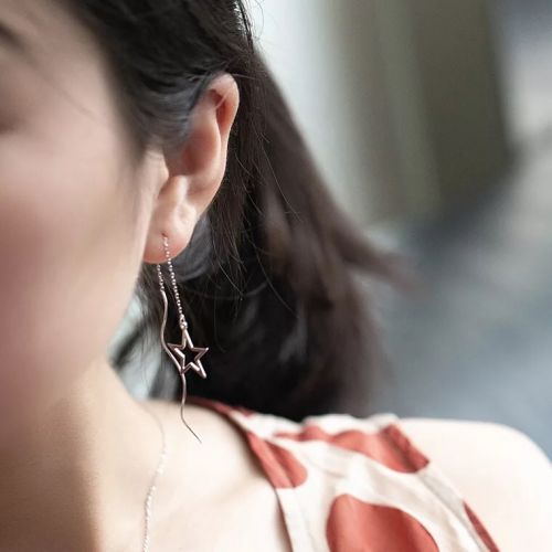 Boucles d'oreilles pendantes Femme Argentée - Ref 3099615