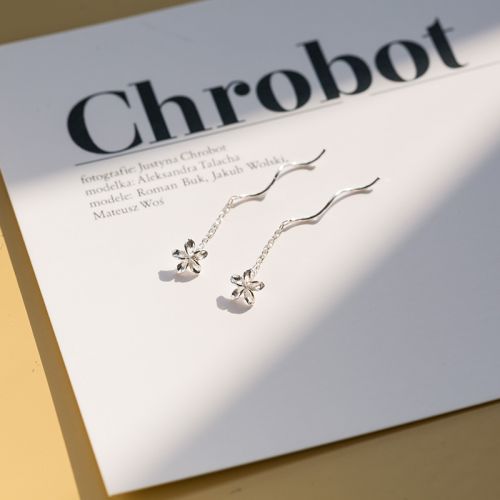 Boucles d'oreilles pendantes Femme Argentée - Ref 3100468