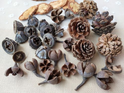 Bougie - Ref 2485701