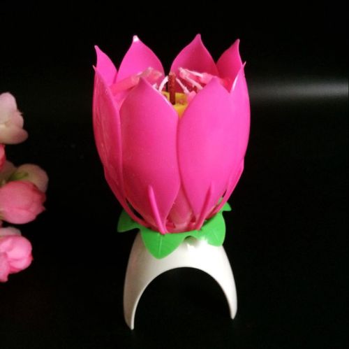 Bougie - Ref 2486398