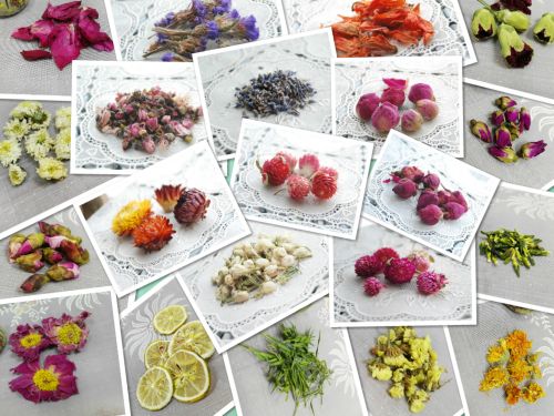 Bougie - Ref 2488241