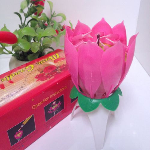 Bougie - Ref 2488488