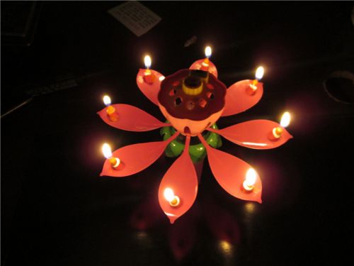 Bougie - Ref 2488720