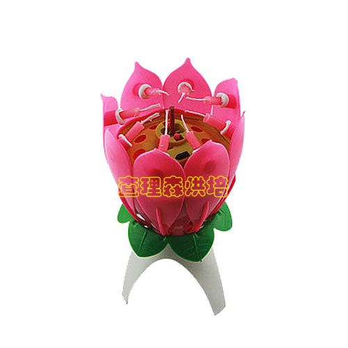 Bougie - Ref 2494833