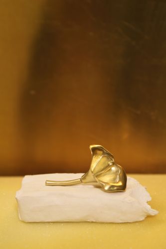 Broche WINGFREE - Ref 1175146