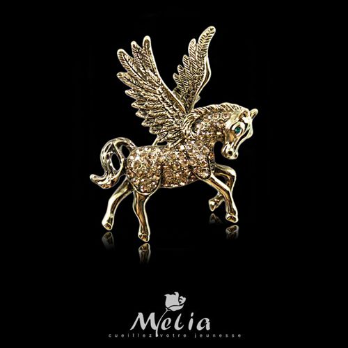 Broche en Alliage argent et plaqué or - Ref 1175455