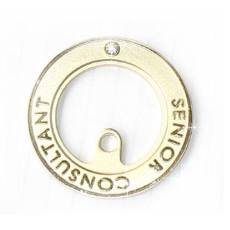 Broche en Alliage argent et plaqué or - Ref 1175534