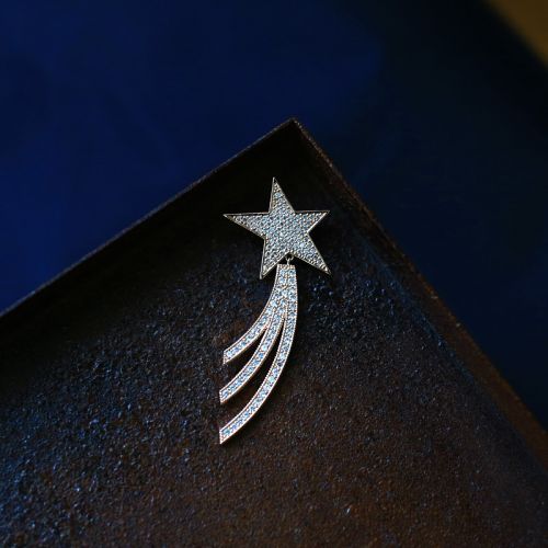 Broche femme en Alliage argent et plaqué or - Ref 1178657