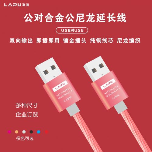 Câble extension USB - Ref 433747