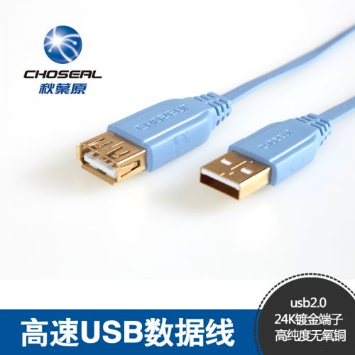 Câble extension USB - Ref 434242