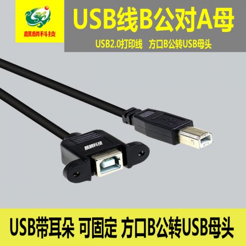 Cable extension USB 437119