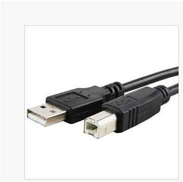 Câble extension USB - Ref 438614