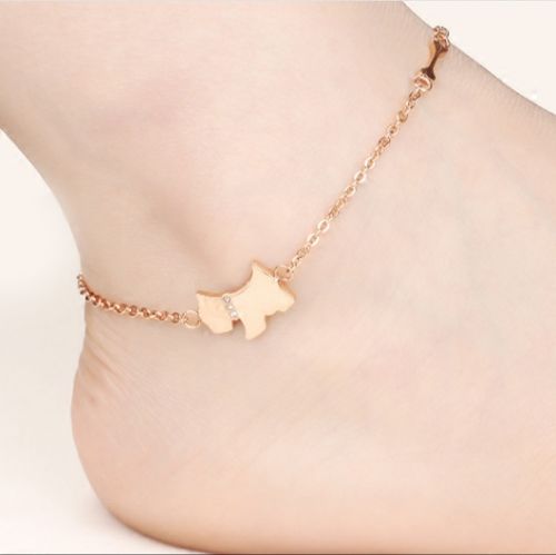 Chaine de cheville Femme en Acier au titane - Ref 3102765