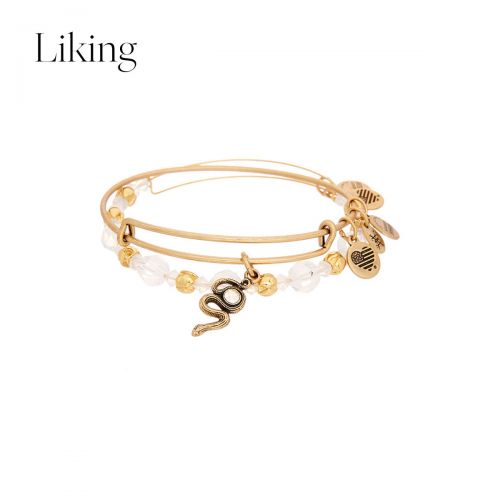 Chaine de cheville - Ref 3104534