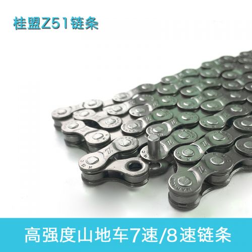 Chaine de vélo - Ref 2367326