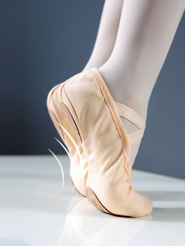 Chaussons de danse 3447767