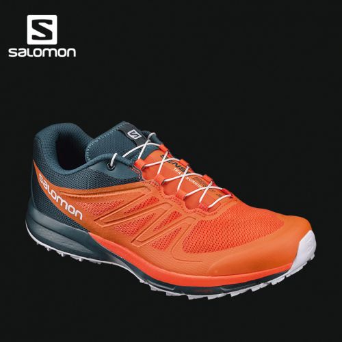 Chaussure de randonnée pour homme SALOMON - Ref 3264132