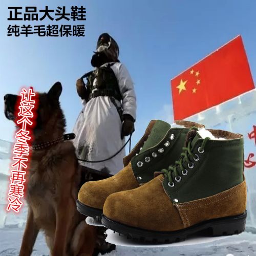 Chaussures de montagne neige 1068717